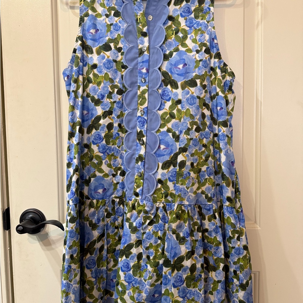 Entro Brand - floral drop waist mini dress